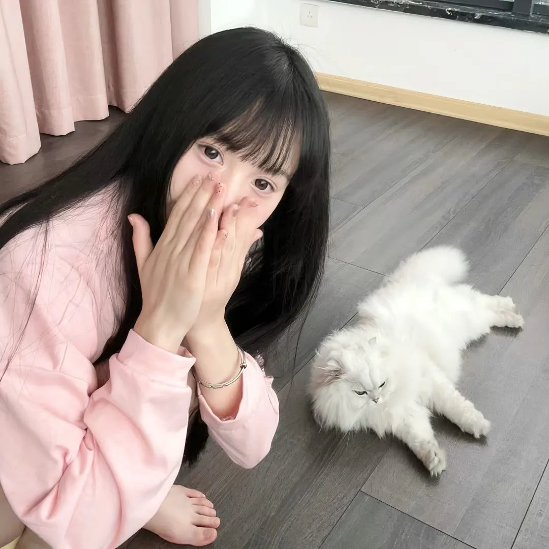 南希·德鲁和隐藏的楼梯