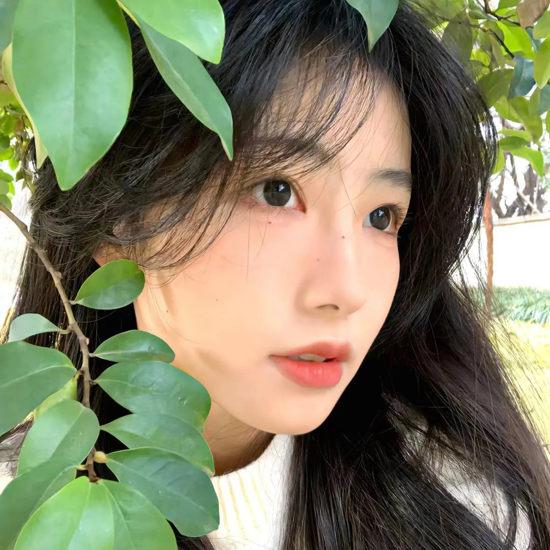 天旋地恋粤语